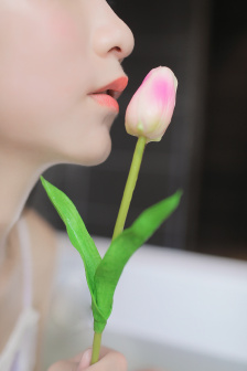《白夜破晓》在线观看